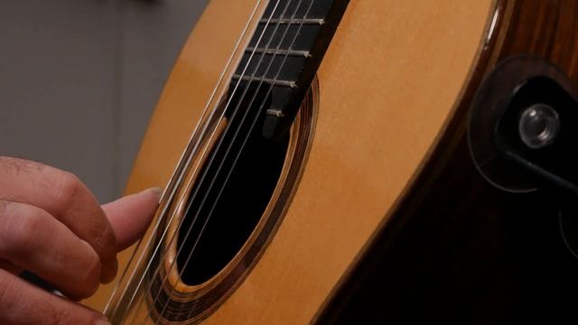 Mauro Giuliani - Etude No13(Allegro) Op.50 смотреть онлайн