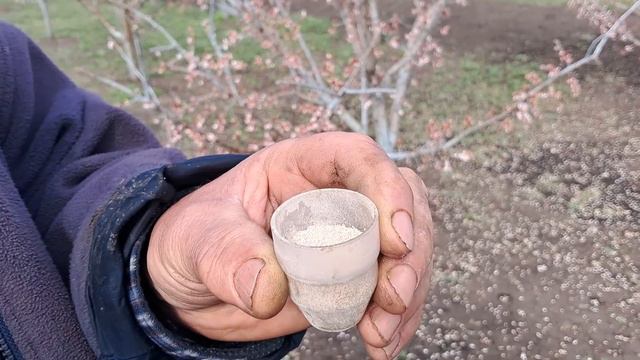Моніліоз. Обов'язковий обробіток. смотреть онлайн