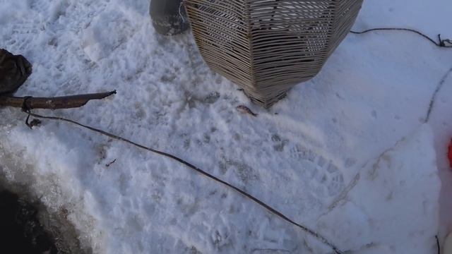 Проверка корчаг и тычек. Ноябрь -20° смотреть онлайн