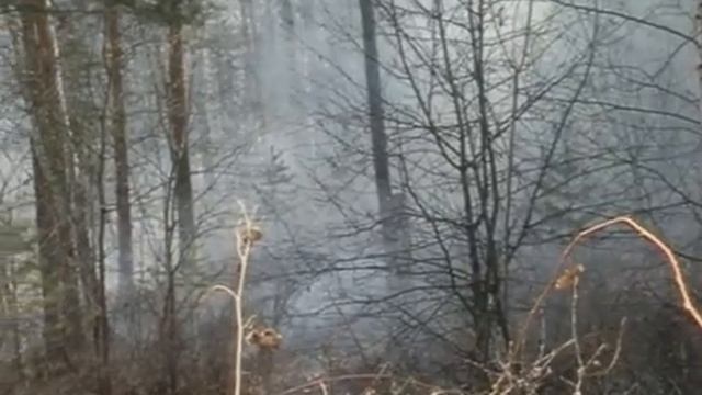 Пожары дачи смотреть онлайн
