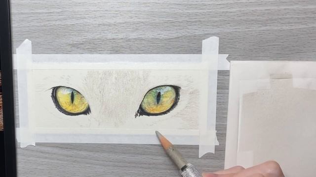 How To Draw A Cat's Eyes With Colored Pencils, Cat Fur l Drawing Tutorial смотреть онлайн