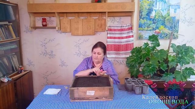 Огурцы в теплицу смотреть онлайн