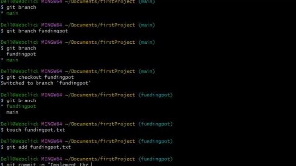 Understand the Branch System in Git