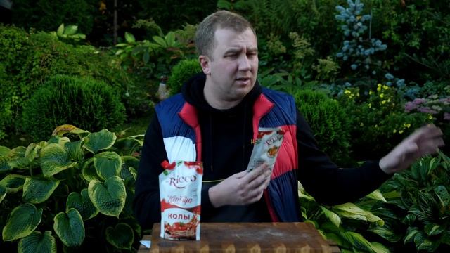 Обзор: Кетчуп с Колой (Mr.Ricco) смотреть онлайн