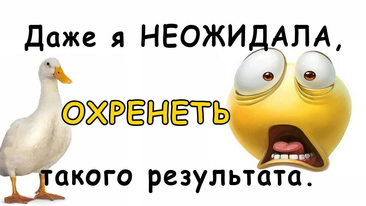 ШОК! утка весом 2,2 кг за 26 дней !!! НЕОЖИДАННЫЕ РЕЗУЛЬТАТЫ ВЗВЕШИВАНИЯ !!! смотреть онлайн