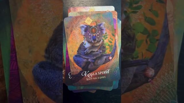 The Spirit Animal Oracle by Colette Baron-Reid 60 Second Full Deck Flip Through #oraclecards смотреть онлайн