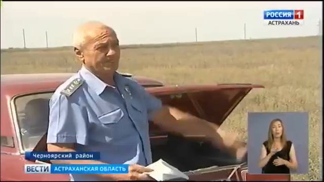 В Астраханской области бушует опасный карантинный сорняк смотреть онлайн