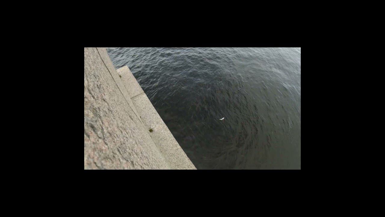 Толстый окунь2 смотреть онлайн