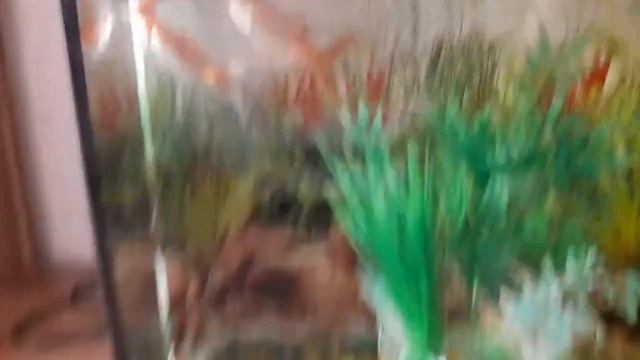 Рыба Матильда - Матильда смотреть онлайн