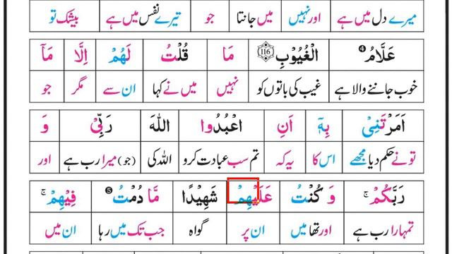 Surah Al Maeeda Ayat# 116-120 | Quran Majeed ka Lafzi Tarjuma | قرآن مجید کا مکمل اردو ترجمہ смотреть онлайн