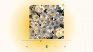 эстетичная музыка для учебы?|| aesthetic music for study?||