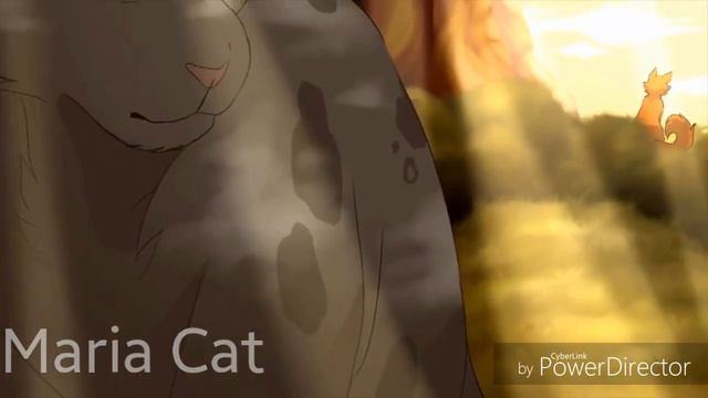 Cat's Warrior's Ария Фернана смотреть онлайн