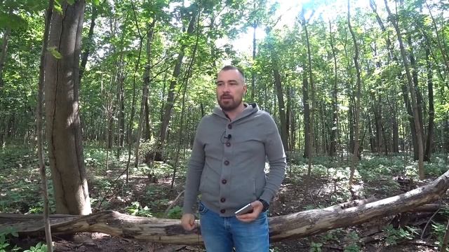 Как я доказал что внешность мужчины для женщин не главное. На каком же месте она у женщин? смотреть онлайн