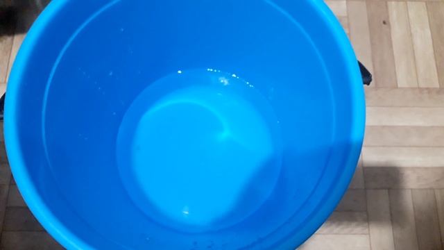 Колорадский Жук Погибнет Весь За 1 Минуту! смотреть онлайн