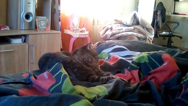 Рассказ Почему удалили канал Ярослава Спортивная ? смотреть онлайн