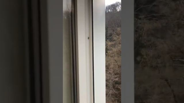 Квартира с ремонтом 2-ка 47м в Сочи, ЖК Министерские озёра закрытая придомовая территория. смотреть онлайн