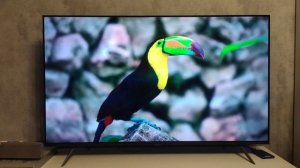 Телевизор Artel A55LU8500. Самый спорный вариант.