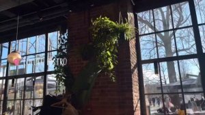 Влог о Питере. Лучшие рестораны Питера, ночные бары Питера, отель Астория #санктпетербург #питер