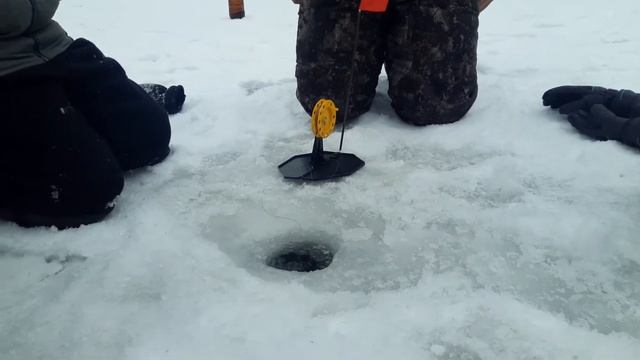 ЩУКА МОНСТР НА ЖЕРЛИЦЫ! ПЕРВЫЙ ЛЁД 2020-2021 ТРОФЕЙНАЯ ЩУКА НА ЖЕРЛИЦЫ РОТАН РУЛИТ!!! смотреть онлайн