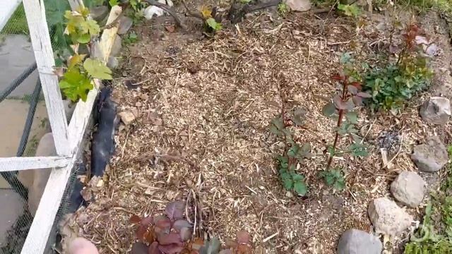 ВНИМАНИЕ! Видео ни о чём. Смотреть только друзьям, и на ночь.? 5 июня 2023 г. смотреть онлайн