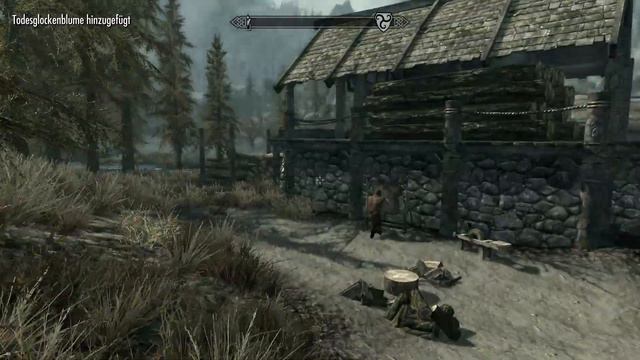 Let's Play TES V: Skyrim #69 [De/HD] Auf nach Morthal. смотреть онлайн