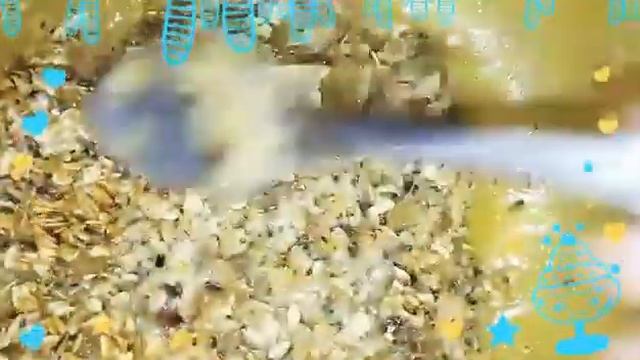 Домашняя кухня