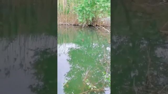 на рыбалке смотреть онлайн