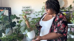 MY FAVORITE HOUSEPLANTS | philodendrons + syngoniums + September 2022