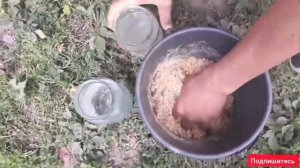 Чем кормить цыплят ?Комбикорм для цыплят от 1 месяца своими руками!