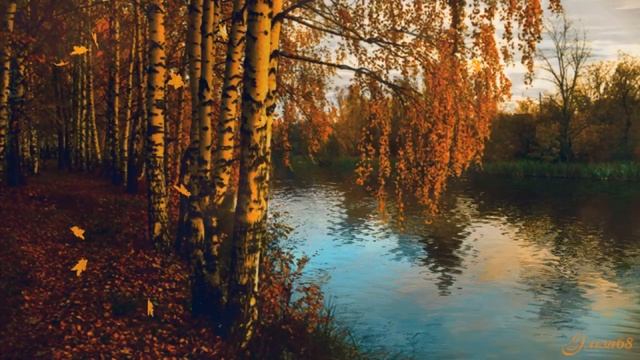 Берёза.Красивая песня. смотреть онлайн