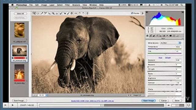 Photoshop CS5 cursus - Photoshop CS5 leren in een paar weken tutorial смотреть онлайн
