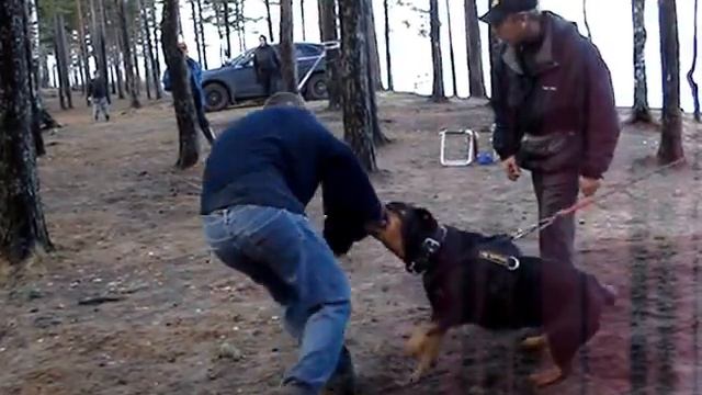 Груня. 6 лет. "Скрытка". смотреть онлайн