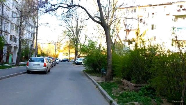 Кишинев, Ботаника, ул. Христо Ботева смотреть онлайн