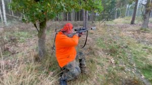 ТРАДИЦИОННАЯ ОХОТА В ЕВРОПЕ НА КАБАНА Ч-1