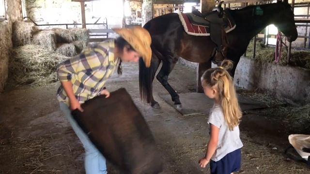Rounds Ranch Pony Experience смотреть онлайн