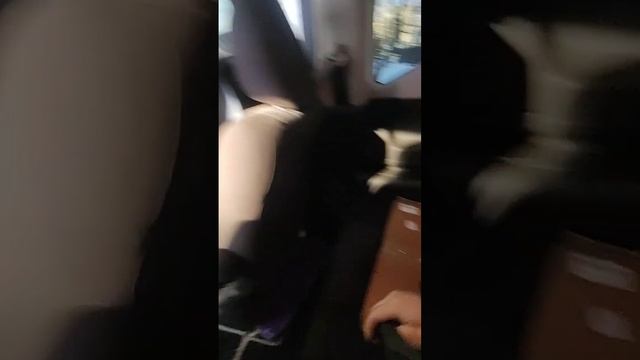 Honda Freed gb8 (капитанские кресла) обзор третьего ряда смотреть онлайн