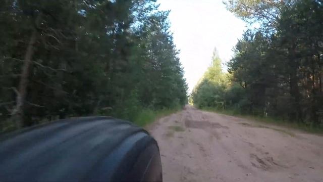 Утро в сосновом бору. смотреть онлайн