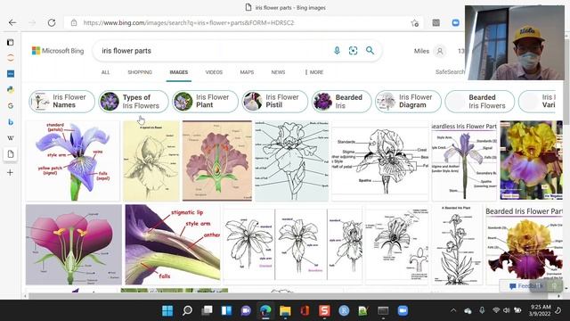 Stats 21 - 2022-03-09 - Week 10 Wednesday - simple classification with sklearn смотреть онлайн