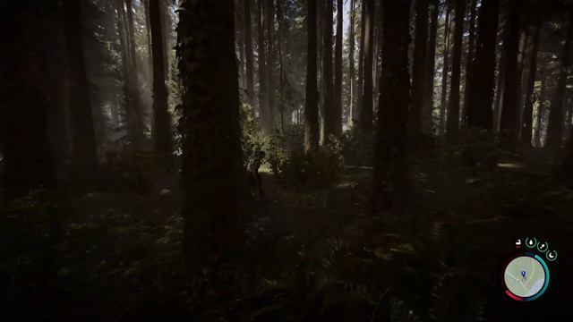 Sons of the Forest - ВЫЖИВАНИЕ В ДИКОМ ЛЕСУ смотреть онлайн