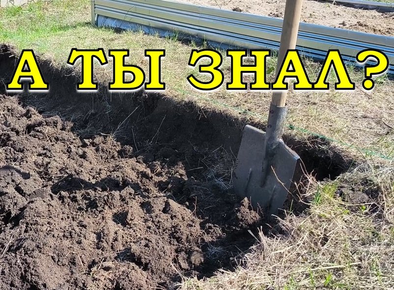 «Ленивый» способ освоить целину💪💪💪 Начинаем сейчас☝ смотреть онлайн