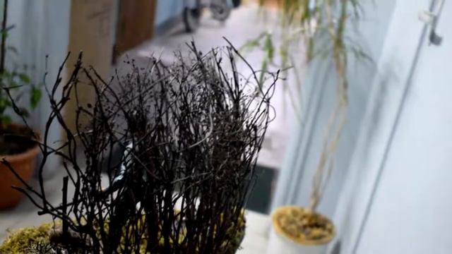 зловещие мертвецы смотреть онлайн