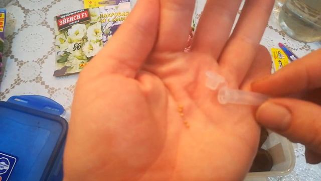 Посев эустомы в торфяные таблетки. смотреть онлайн