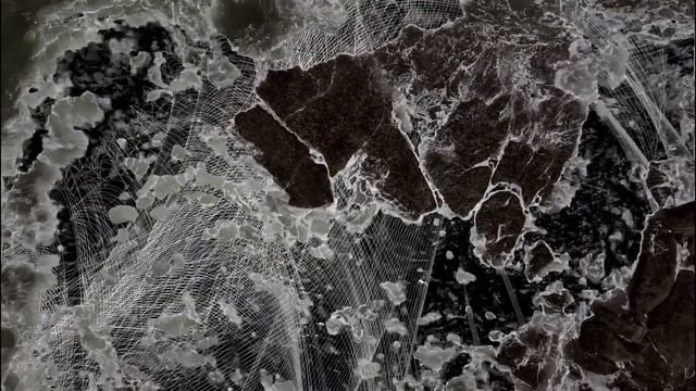 Polypores - Rapture Of The Depths смотреть онлайн