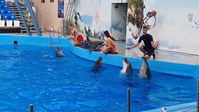 Дельфинарий 🐬 Немо смотреть онлайн