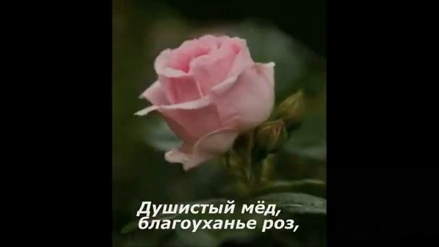 Как же красива КРАСОТА! смотреть онлайн