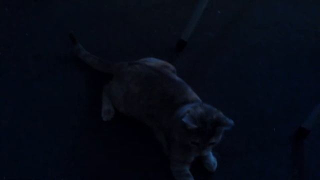 shishka :) смотреть онлайн