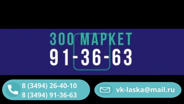 Реклама ВК Ласка & ЗооМаркет смотреть онлайн