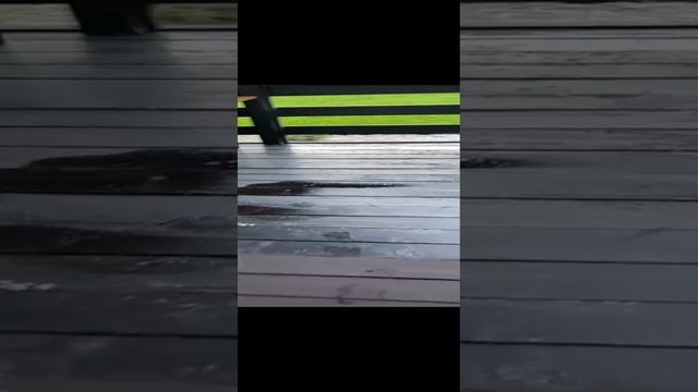 Резиновая краска для дерева отзывы смотреть онлайн