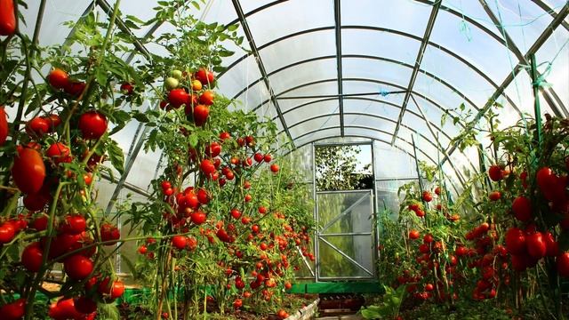 ТОП - 10 новаций, которые выбирают современные дачники смотреть онлайн