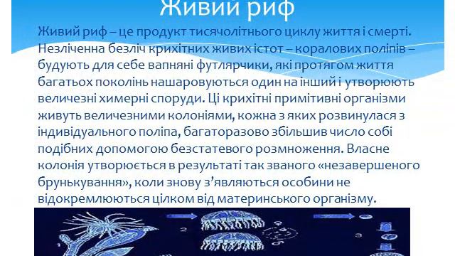 Як утворюються коралові острови Енс Герман 7 А смотреть онлайн